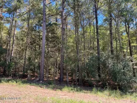 Porter Ln, Florence, MS 39073 photo 9
