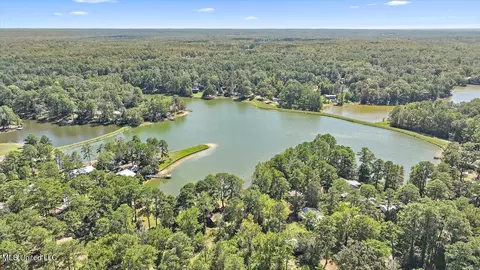 103 Pine Grove Ln, Florence, MS 39073 photo 56