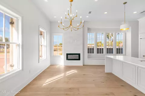 Other - 218 Amelia Cir, Madison, MS 39110 photo 1 of 17
