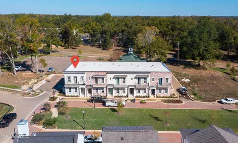 View/Area - 218 Amelia Cir, Madison, MS 39110 photo 2 of 4