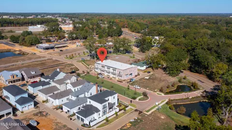 View/Area - 218 Amelia Cir, Madison, MS 39110 photo 3 of 4