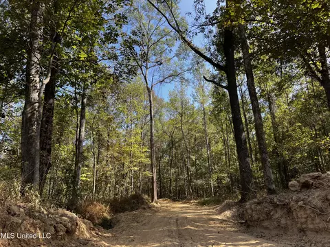 Hargon Road, Camden, MS 39045