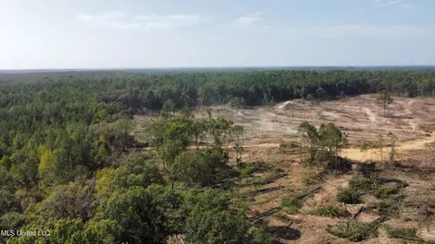 Hargon Road, Camden, MS 39045 photo 5