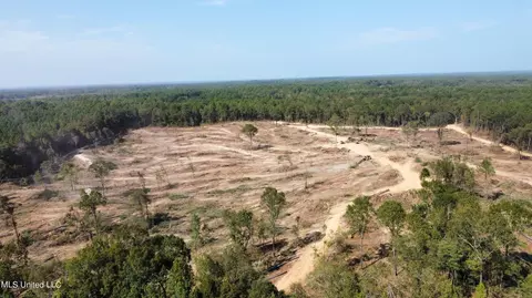 Hargon Road, Camden, MS 39045 photo 7
