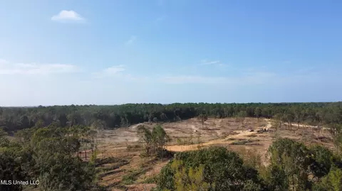 Hargon Road, Camden, MS 39045 photo 4