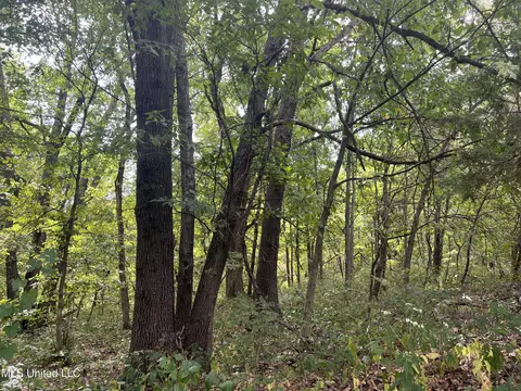 Stump Bridge Road, Camden, MS 39045
