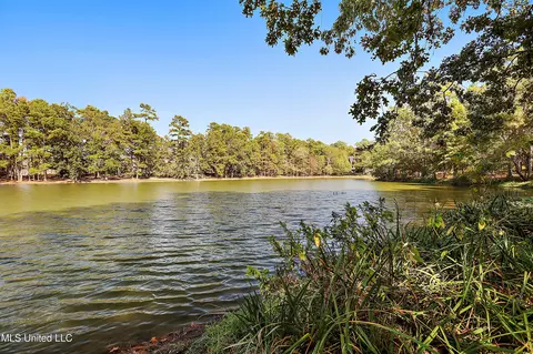 103 Hickory Cv, Brandon, MS 39047 photo 60