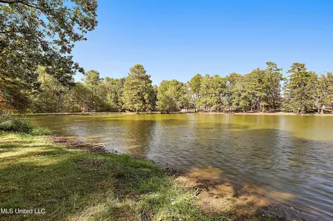 103 Hickory Cv, Brandon, MS 39047 photo 61