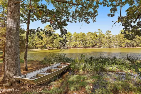 103 Hickory Cv, Brandon, MS 39047 photo 59