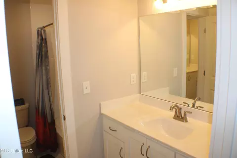 11402 Cedar Point Cv, Hernando, MS 38632 photo 55