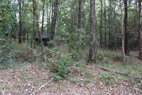 11402 Cedar Point Cv, Hernando, MS 38632 photo 70