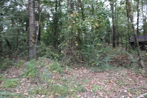 11402 Cedar Point Cv, Hernando, MS 38632 photo 69