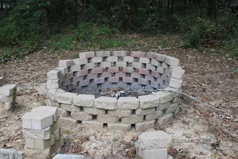 11402 Cedar Point Cv, Hernando, MS 38632 photo 72