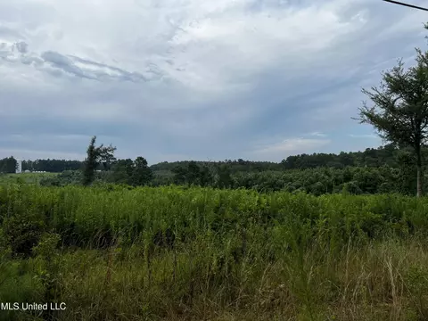 Hillsboro Ludlow Road, Lena, MS 39094