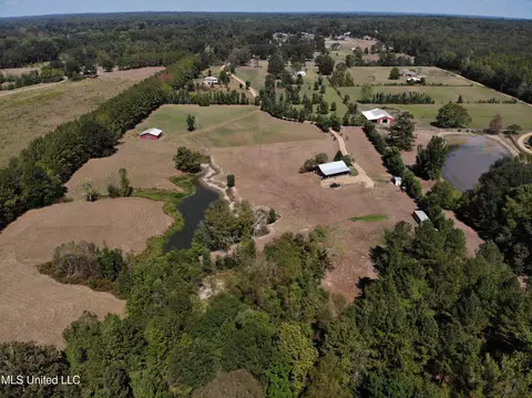 1179 S Jackson Cv, Terry, MS 39170 photo 3