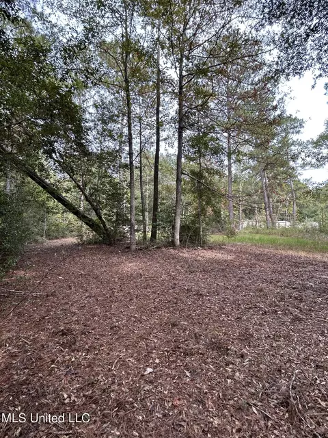 103 Huckleberry Ln, Lucedale, MS 39452 photo 3