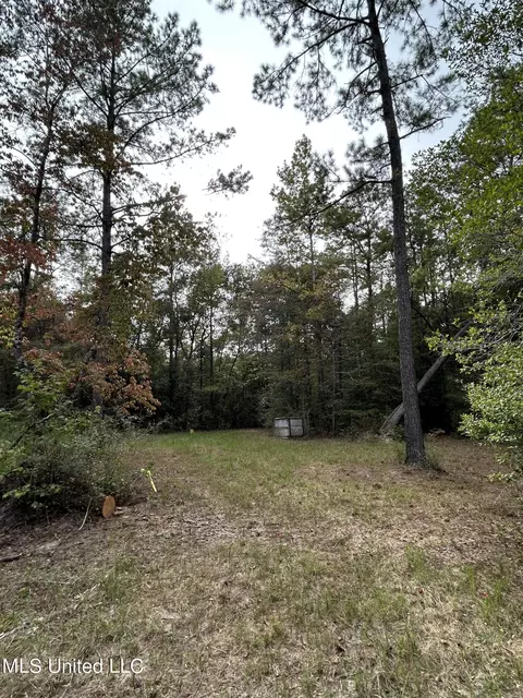 103 Huckleberry Ln, Lucedale, MS 39452 photo 6