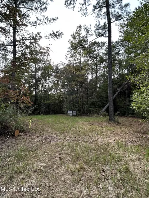 103 Huckleberry Ln, Lucedale, MS 39452 photo 5