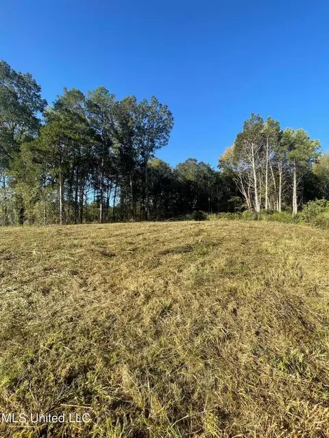 2617 S Laughter Rd, Hernando, MS 38632 photo 3