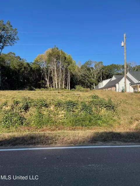 2617 S Laughter Rd, Hernando, MS 38632 photo 5