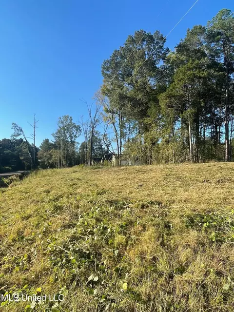 2617 S Laughter Rd, Hernando, MS 38632 photo 2