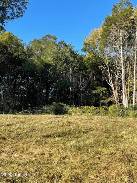 2617 S Laughter Rd, Hernando, MS 38632