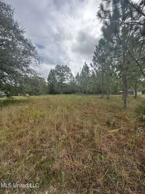 lot6 Stone Forest Trl, Mchenry, MS 39561