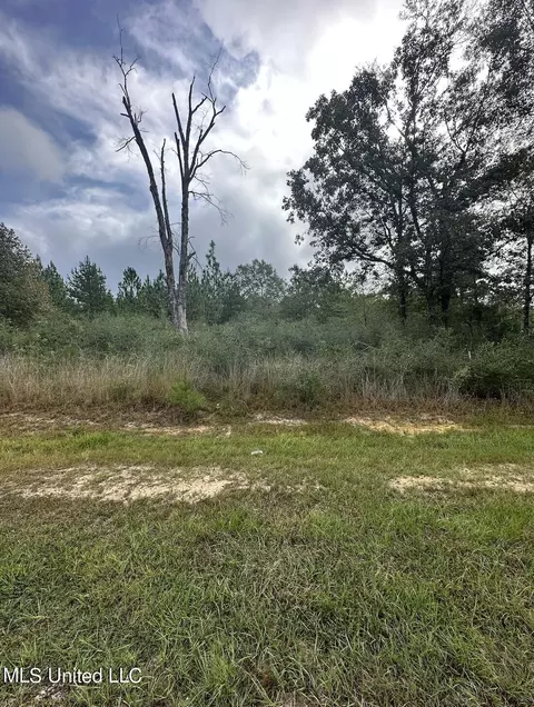 lot8 Stone Forest Trl, Mchenry, MS 39561