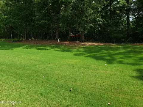 114 Springmeade Rd, Clinton, MS 39056 photo 5