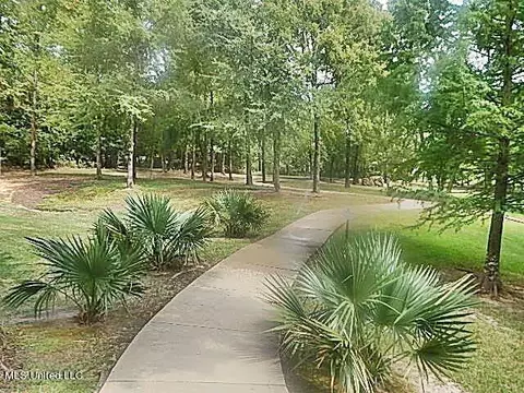 114 Springmeade Rd, Clinton, MS 39056 photo 33