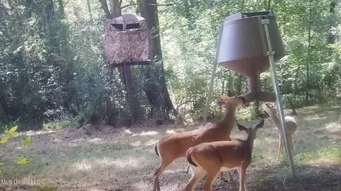 000 Robinsonsprings Rd, Flora, MS 39071