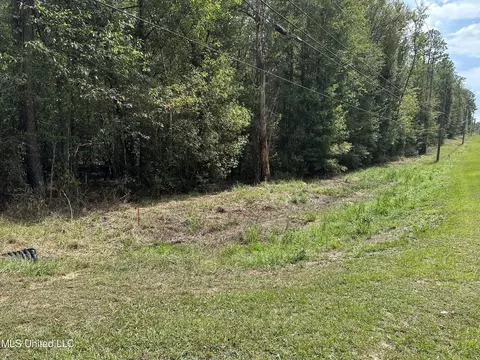 1202 Beaver Dam Road Rd, Lucedale, MS 39452 photo 4