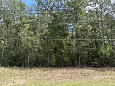 1202 Beaver Dam Road Rd, Lucedale, MS 39452