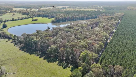 2297 Vfw Rd, Lake, MS 39092 photo 87