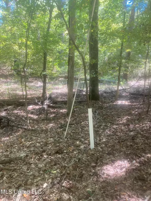 4211 Wheeler Rd, Hernando, MS 38632 photo 14