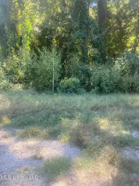 4211 Wheeler Rd, Hernando, MS 38632 photo 15