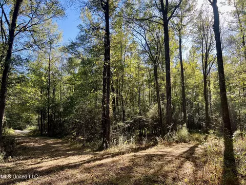000 Loring Rd, Pickens, MS 39146 photo 3