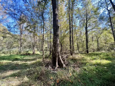 000 Loring Rd, Pickens, MS 39146 photo 4