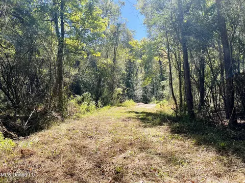 000 Loring Rd, Pickens, MS 39146 photo 20