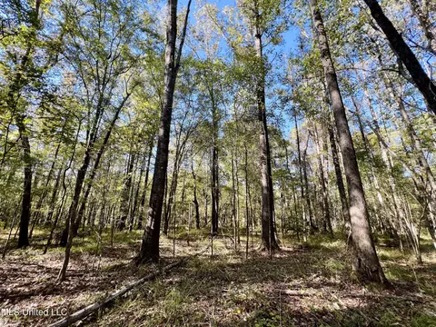 000 Loring Rd, Pickens, MS 39146 photo 8
