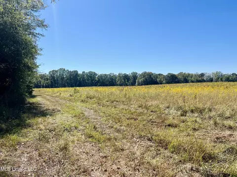 000 Loring Rd, Pickens, MS 39146 photo 30