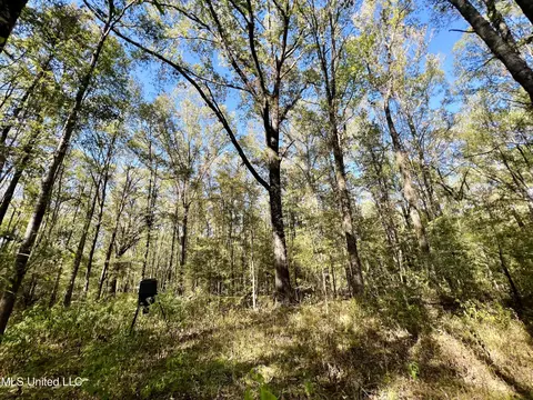 000 Loring Rd, Pickens, MS 39146 photo 7