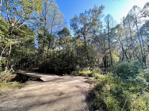000 Loring Rd, Pickens, MS 39146 photo 18