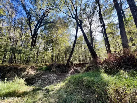000 Loring Rd, Pickens, MS 39146 photo 5