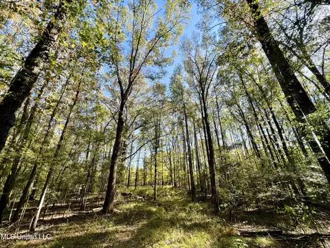 000 Loring Rd, Pickens, MS 39146 photo 2