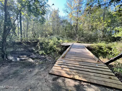 000 Loring Rd, Pickens, MS 39146 photo 17
