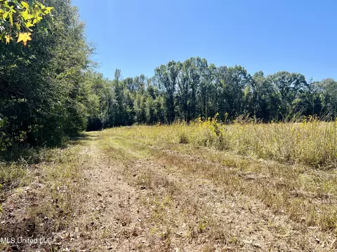 000 Loring Rd, Pickens, MS 39146 photo 31