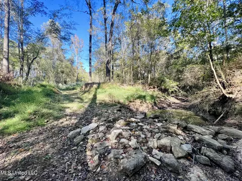000 Loring Rd, Pickens, MS 39146 photo 22