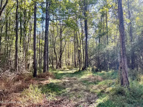 000 Loring Rd, Pickens, MS 39146 photo 12