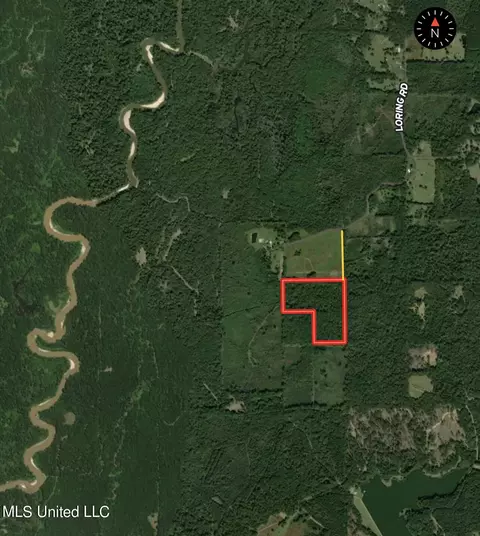 000 Loring Rd, Pickens, MS 39146 photo 27